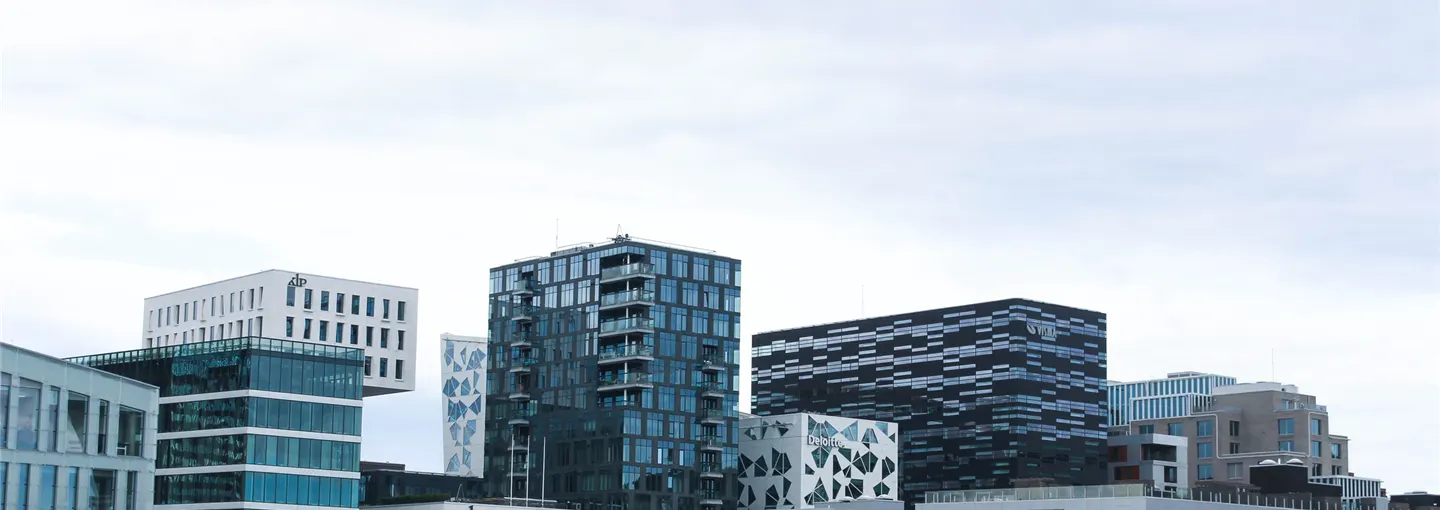 Formål